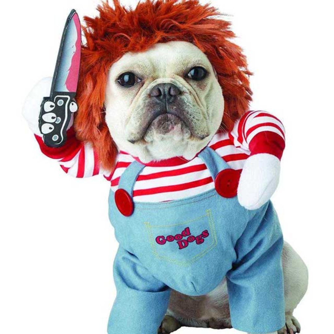 Chucky Pet Halloween Costume – Enhance Your Pet’s Playful Personality