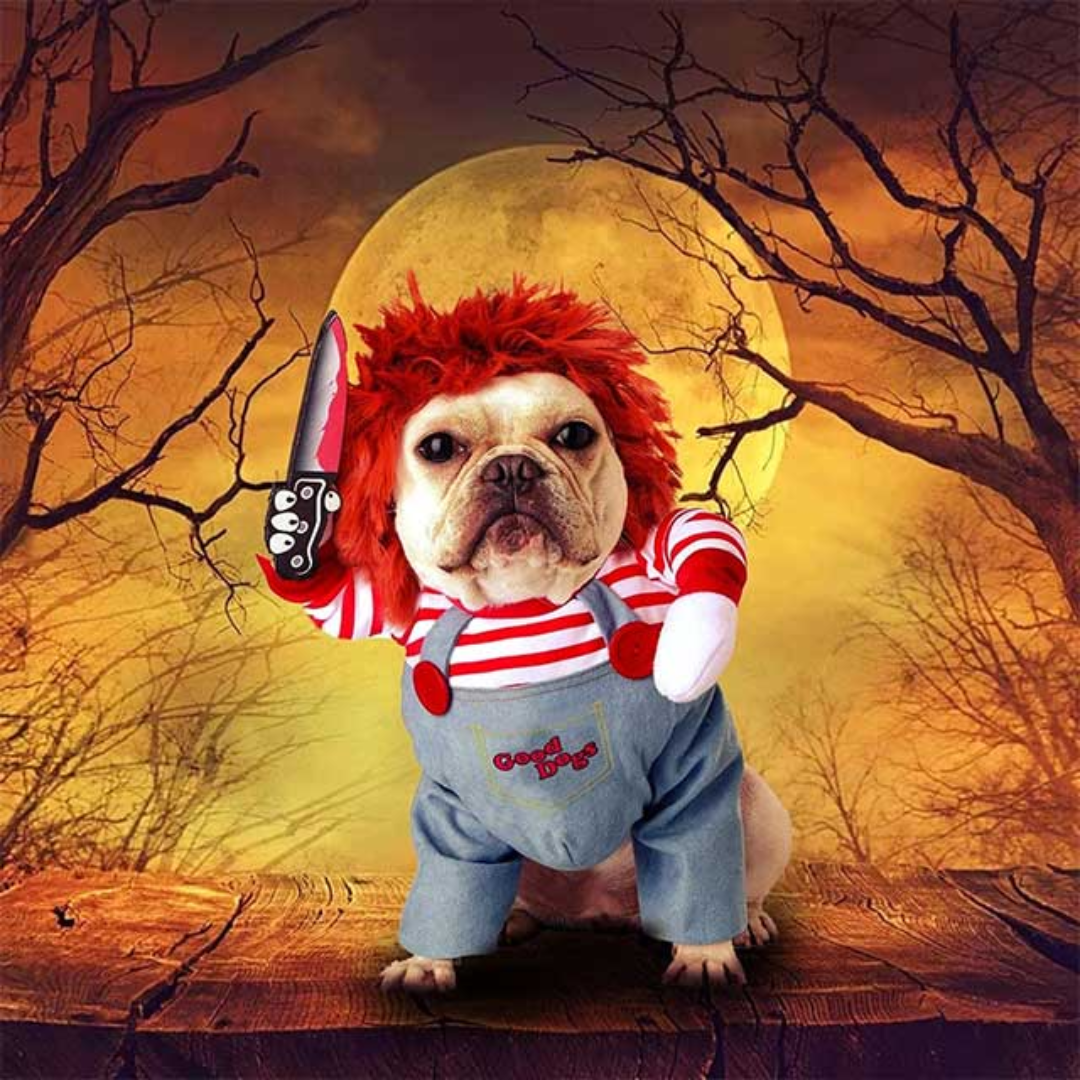 Chucky Pet Halloween Costume – Enhance Your Pet’s Playful Personality