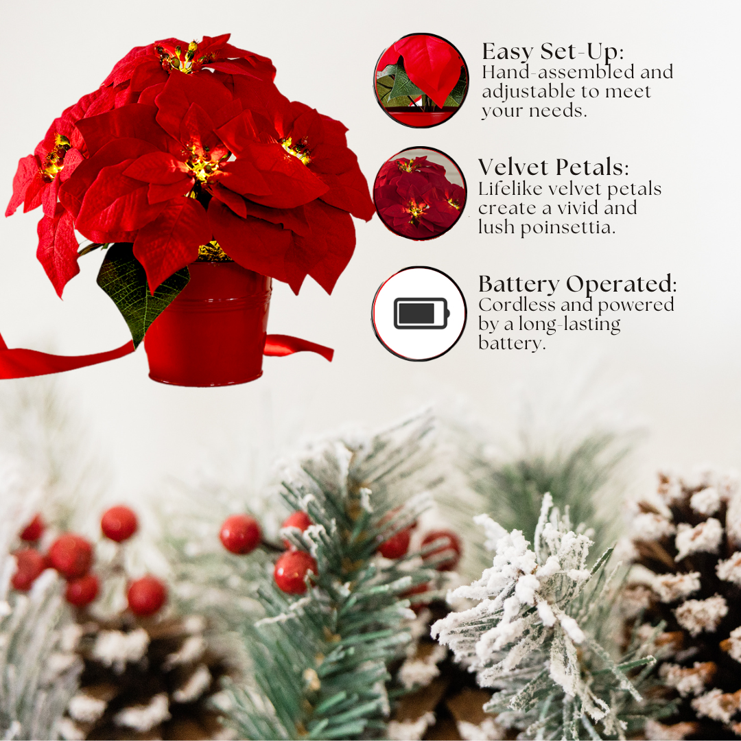 Red Poinsettia - Illuminate Your Holidays with Elegance