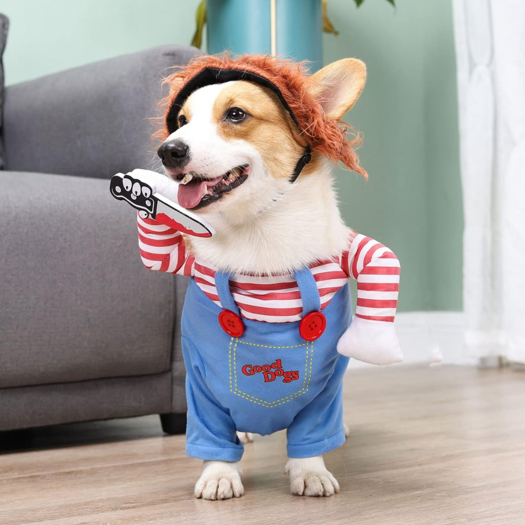 Chucky Pet Halloween Costume – Enhance Your Pet’s Playful Personality