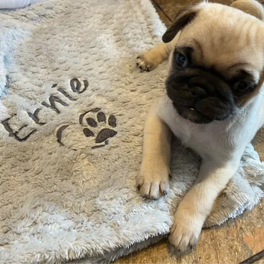 Custom Cozy Pet Blanket