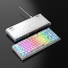 Transparent Mechanical Keyboard - Ultra-Quiet Typing Experience