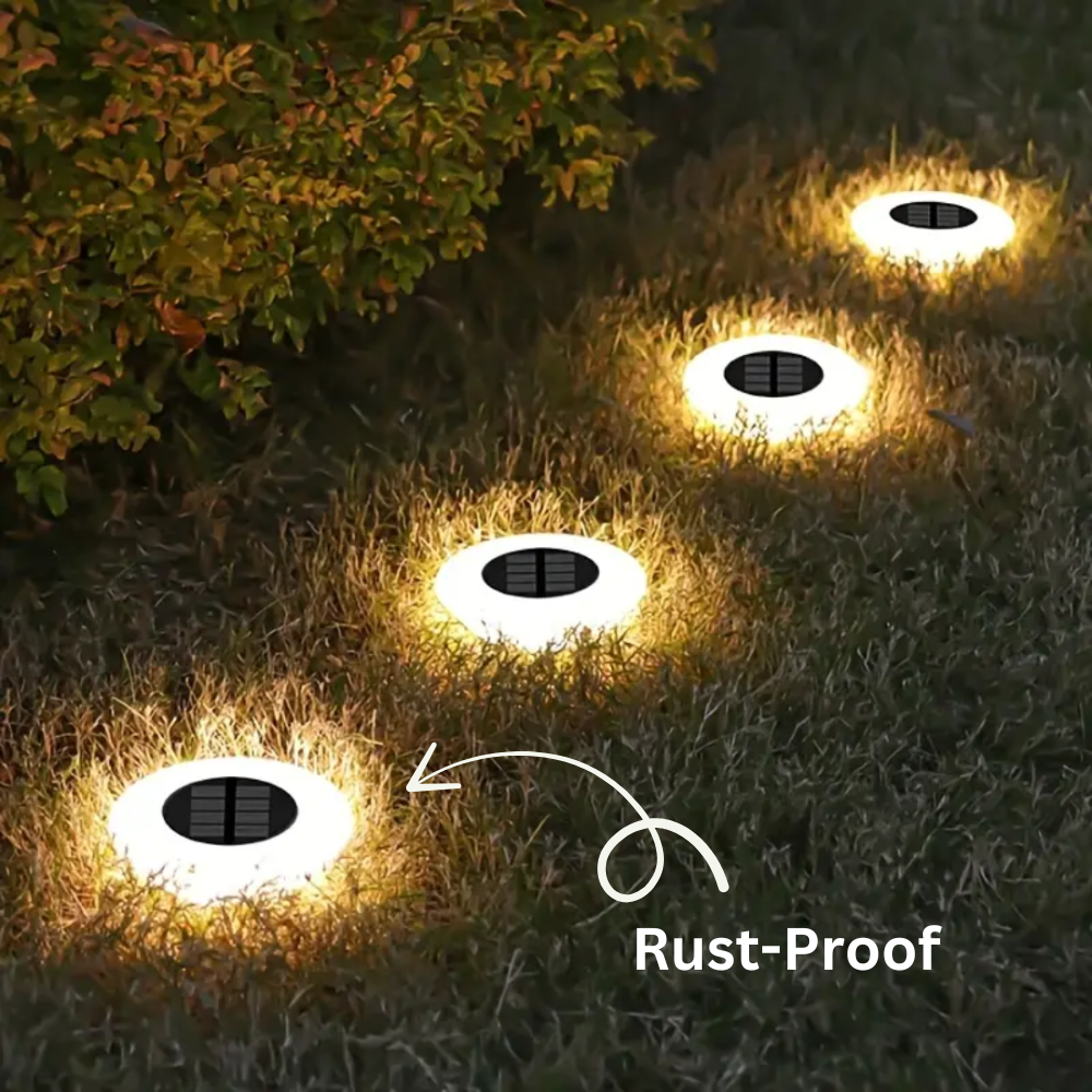 Rust-Proof Solar Outdoor Light for All Weathers