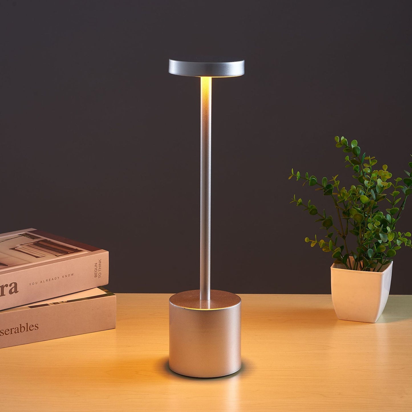 LED Cordless Table Lamp in Metal