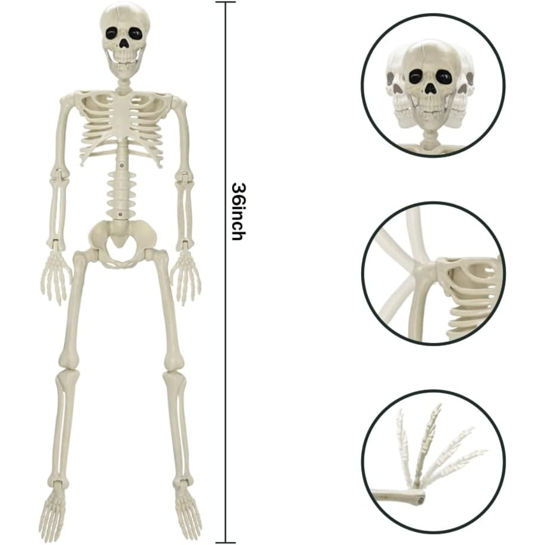 Full Body Skeleton Halloween Decoration – Scares Guaranteed, Fun for All