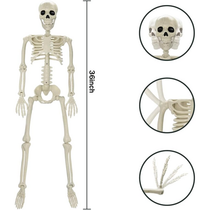 Full Body Skeleton Halloween Decoration – Scares Guaranteed, Fun for All