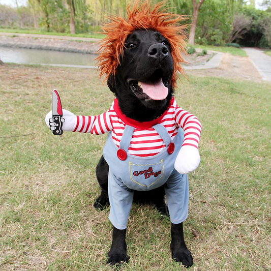 Chucky Pet Halloween Costume – Enhance Your Pet’s Playful Personality