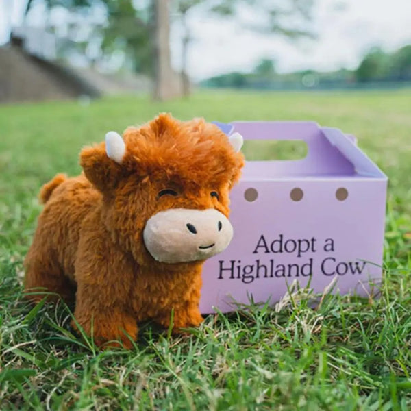 Fluffy Highland Cow Plush Toy - Adopt Highland Cow