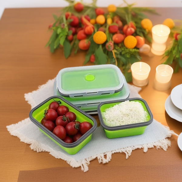 Silicone Food Storage Collapsible Containers for Kitchen, Bento Lunches and Leftovers (4-PCS)