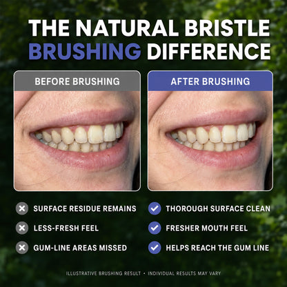 The Natural Brush - Boar & Bamboo Toothbrush