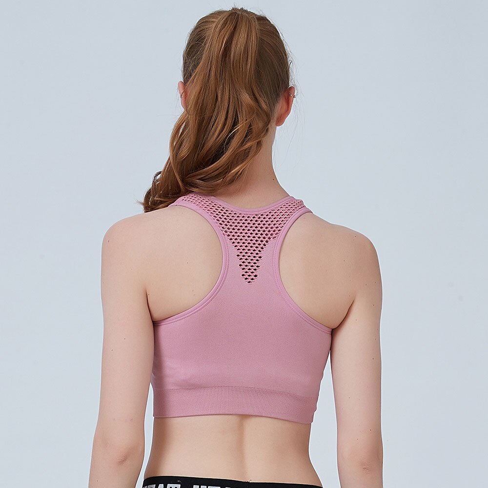 Sports Bra - Seamless Stretchable Yoga Fitness Crop Top