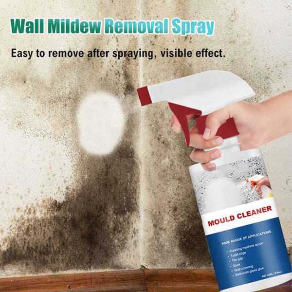 Anti-Mold Cleaning Foam Spray Multi-purpose Ceramic Tile Wall Bathroom Cleaner