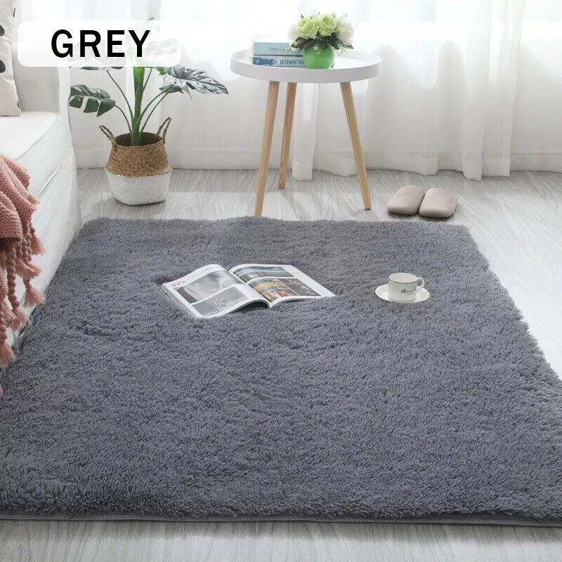 Fluffy Shaggy Area Rug - Soft Large Carpet Pad for Living Room or Bedroom