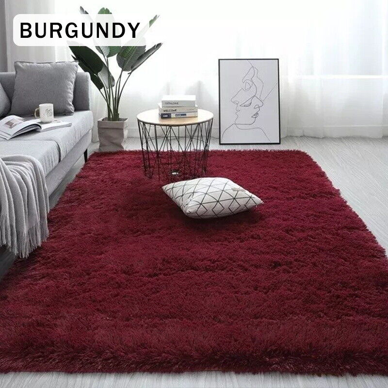 Fluffy Shaggy Area Rug - Soft Large Carpet Pad for Living Room or Bedroom